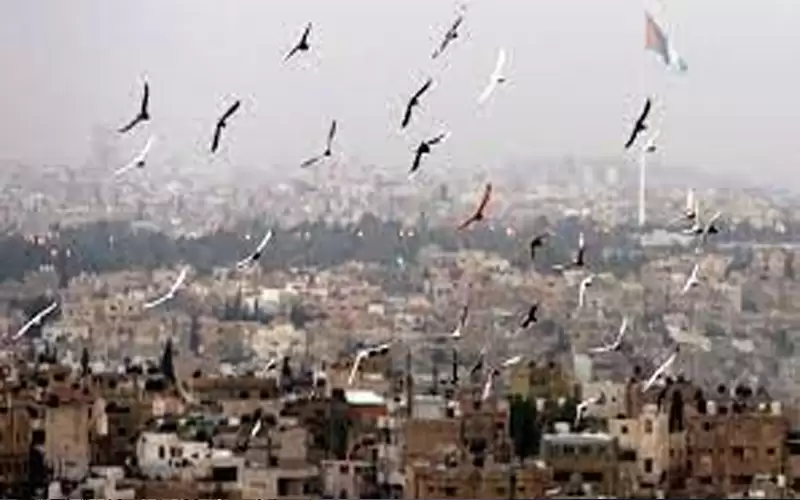 أجواء دافئة نهارا وباردة ليلا