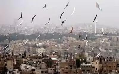أجواء دافئة نهارا وباردة ليلا