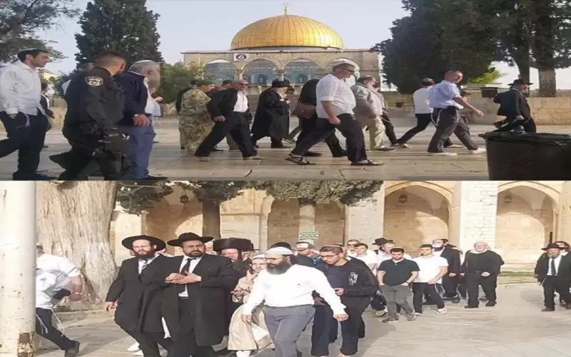 أكثر من 500 مستوطن يقتحمون المسجد