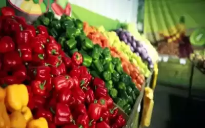 1662 طن خضار وفواكه ترد السوق