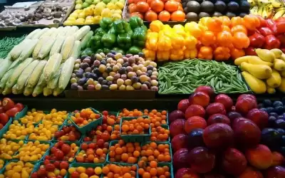 أسعار الخضار في إربد تواصل انخفاضها