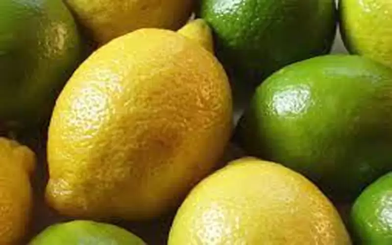 أسعار الليمون تواصل الارتفاع في الأردن
