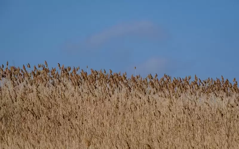 لندن تلغي الرسوم الجمركية على المنتجات