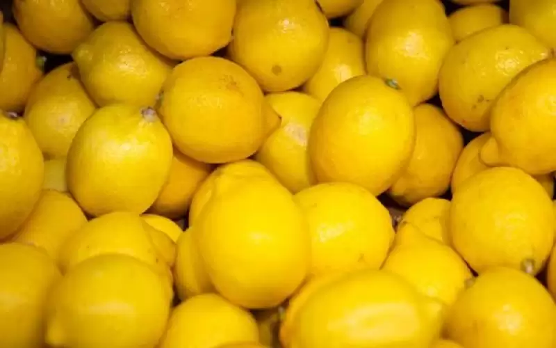 وزير الزراعة: سعر الليمون سيشهد انخفاضا
