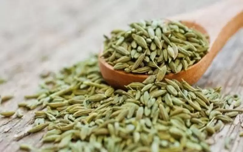 لن تصدقي.. هذا ما يفعله اليانسون