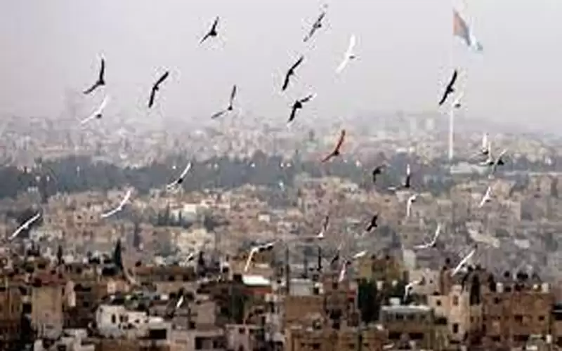 أجواء معتدلة وانخفاض ملموس على درجات