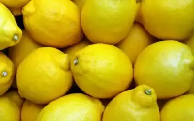 نقيب مصدري الخضار يحمل الزراعة مسؤولية