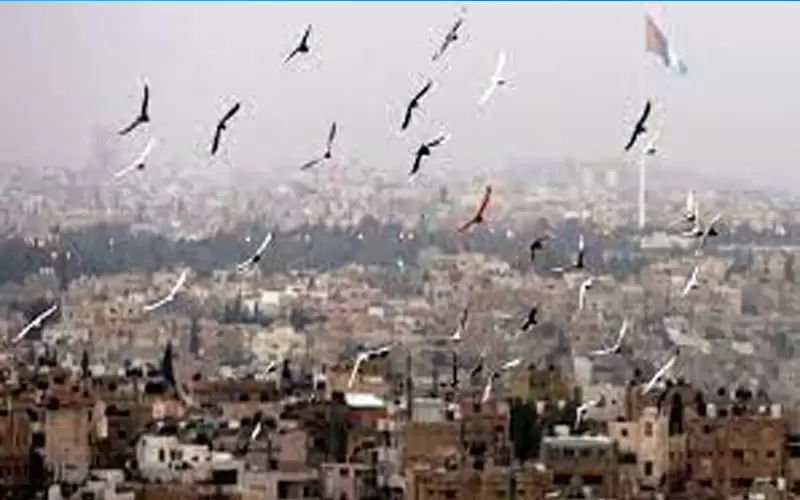 ارتفاع قليل على درجات الحرارة