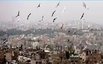 ارتفاع قليل على درجات الحرارة