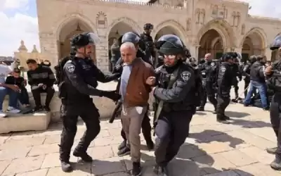الكسواني: قوات الاحتلال اعتقلت 60 شخصا