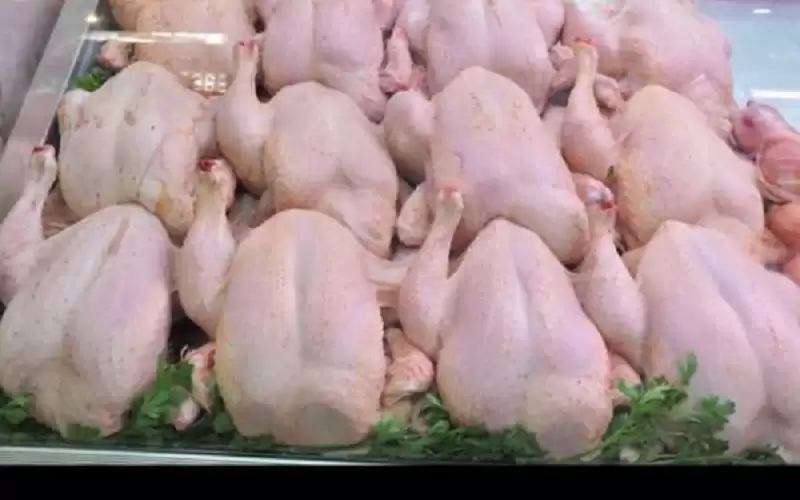 أبو دقر: تسعيرة الدواجن في الأردن