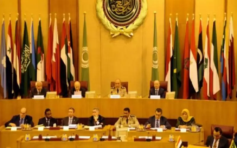 الجامعة العربية تؤكد تضامنها مع مصر
