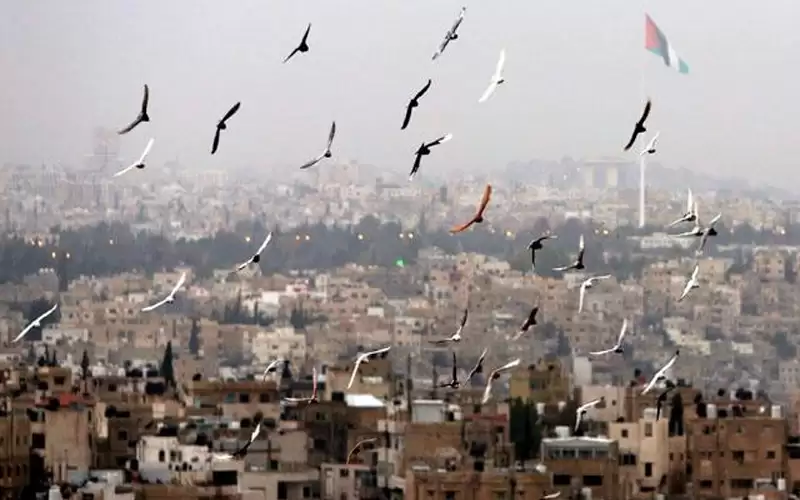اجواء دافئة بمعظم المناطق وحارة في