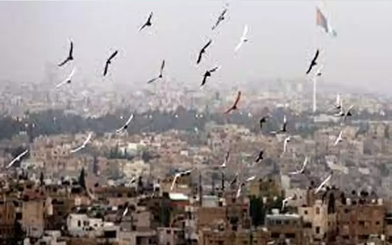 أجواء معتدلة الحرارة في معظم المناطق