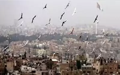 أجواء معتدلة الحرارة في معظم المناطق