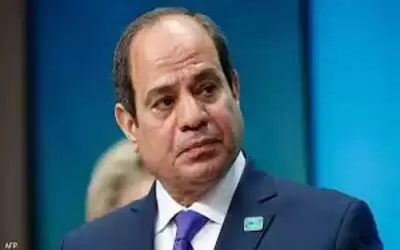 السيسي يوجه بمواصلة العمل بمشروعات العاصمة