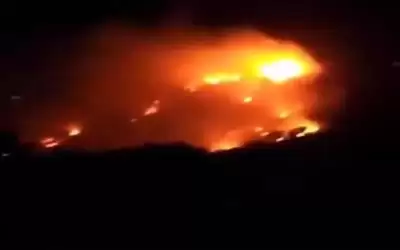 حريق كبير بغابات في ام قيس