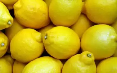 انخفاض أسعار الليمون دينارين