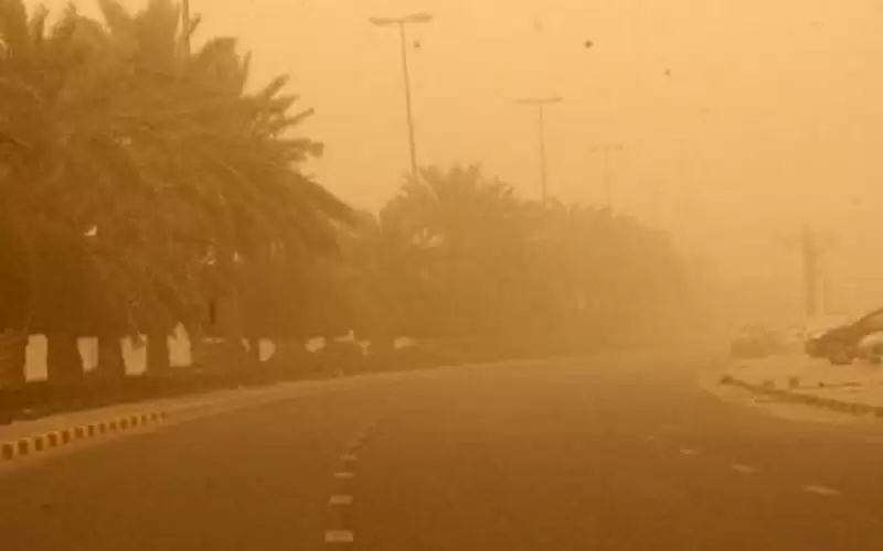 الصحة: لا مواد تسبب الجلطات في