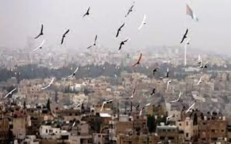 أجواء لطيفة ومعتدلة نهارا وباردة نسبيا