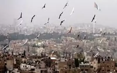 أجواء لطيفة ومعتدلة نهارا وباردة نسبيا