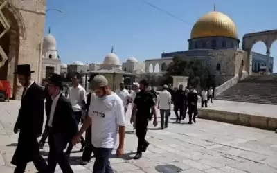 مستوطنون يقتحمون الأقصى بحراسة شرطة الاحتلال