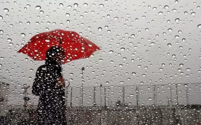 الاحد.. زخات مطرية وضباب ورياح وغبار