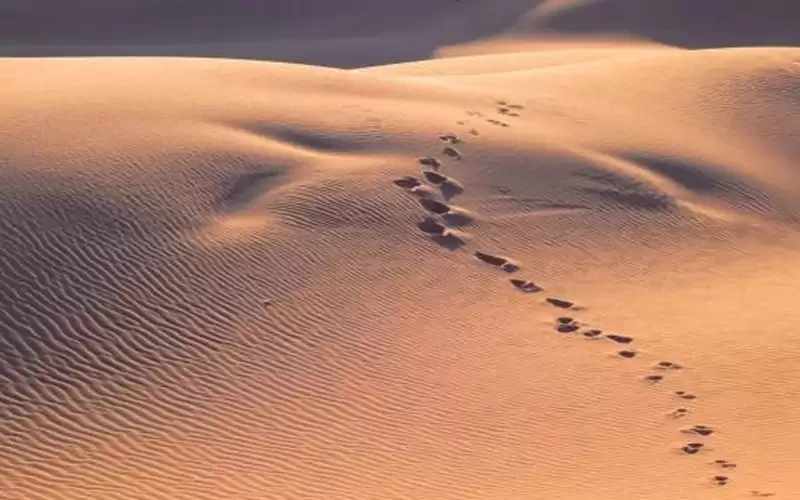 العثور على سوداني تاه بالصحراء في