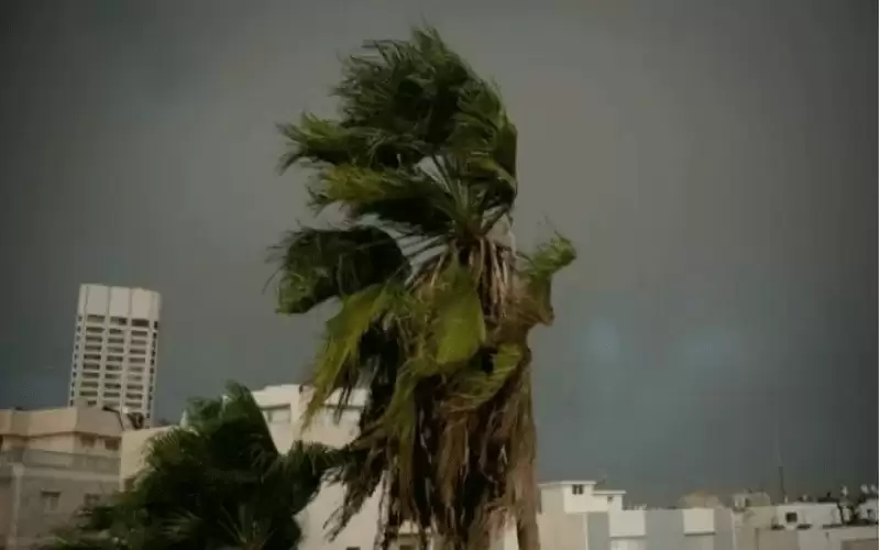 الاثنين.. هبات رياح تتجاوز سرعتها 60