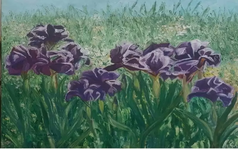 معرض الفنانة فايدة ماتوخ في جاليري