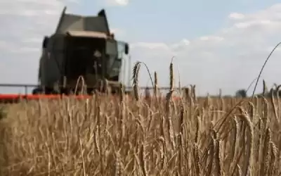 بريطانيا تدعو روسيا للسماح بتصدير الحبوب