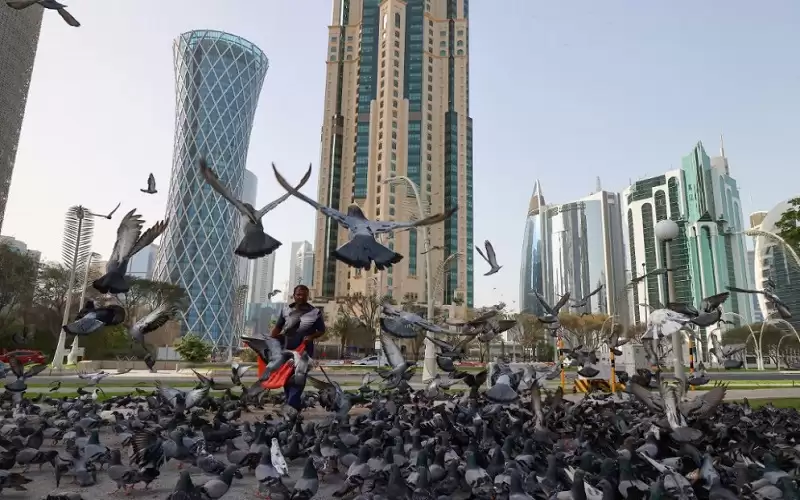 جسر جوي يومي بين الخليج وقطر