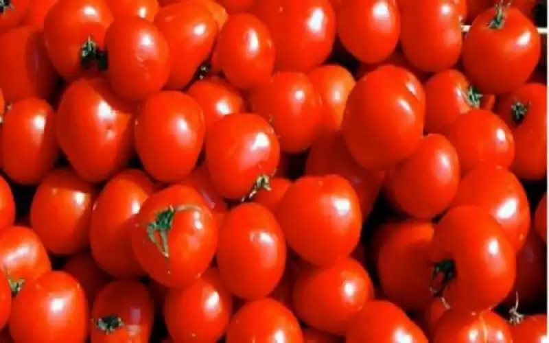 أعراض إنفلونزا الطماطم .. فيروس جديد