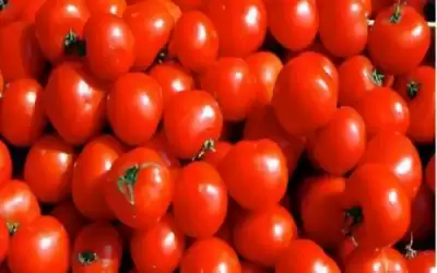 أعراض إنفلونزا الطماطم .. فيروس جديد