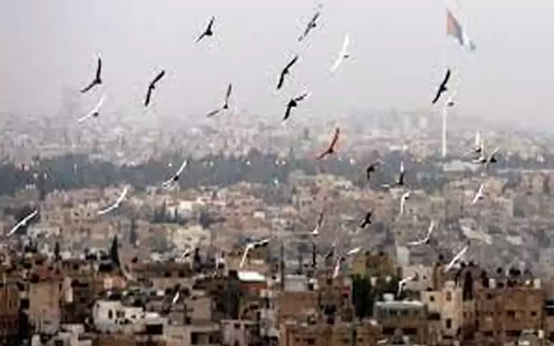 ارتفاع على درجات الحرارة وأجواء جافة