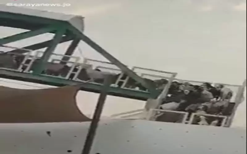 يحدث في الاردن.. قطيع أغنام يعبر