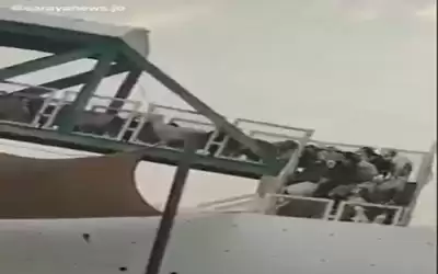 يحدث في الاردن.. قطيع أغنام يعبر