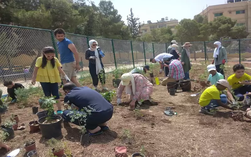 نحو ماركا خضراء