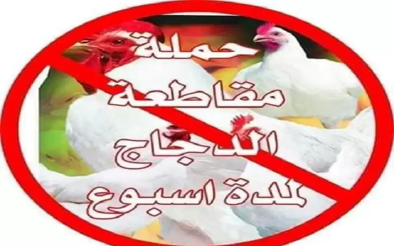 مأدبا.. مطعم يقرر مقاطعة الدجاج والإغلاق