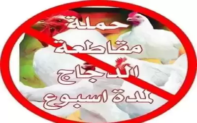 مأدبا.. مطعم يقرر مقاطعة الدجاج والإغلاق