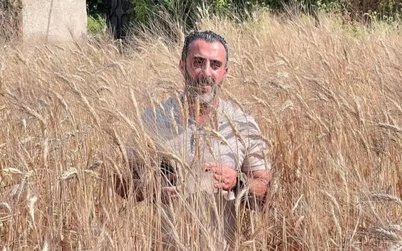 سلام لقمح بلادنا