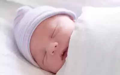 مباركة ليوسف البريزات بمناسبة قدوم مولده