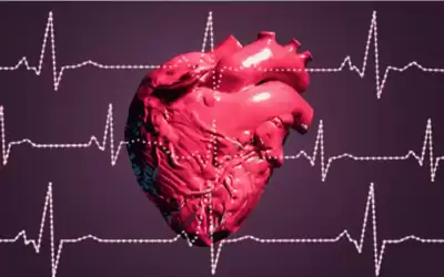 العلماء يكشفون كيف يمكن لقلب الإنسان