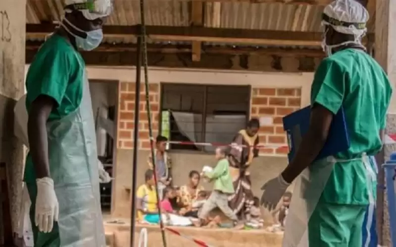 جدري القرود يضرب في افريقيا والكونغو