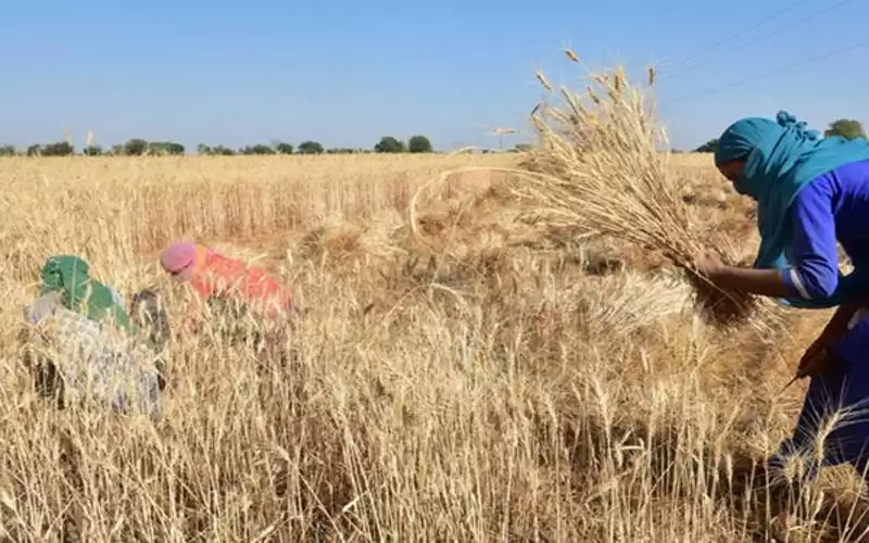 إعلان حالة طوارئ في تشاد مع