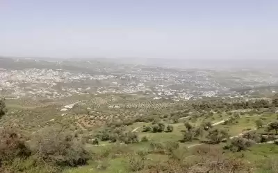 وزارة الصحة: مصادر المياه في جرش