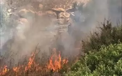 حريق يأتي على 450 شجرة مثمرة