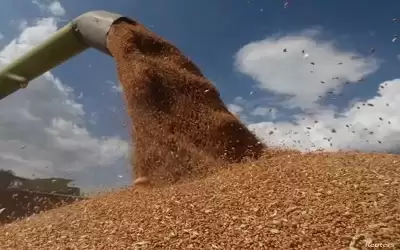 روسيا: مؤشرات على بدء أزمة غذاء
