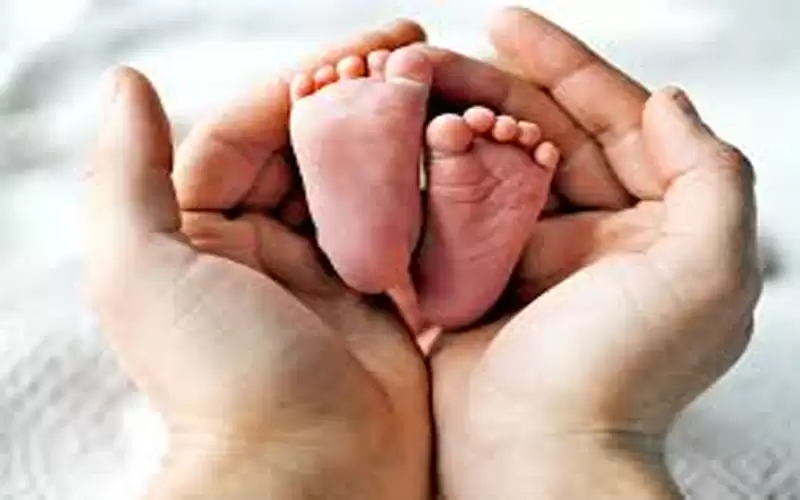ارتفاع عدد المواليد إلى 180 ألفا
