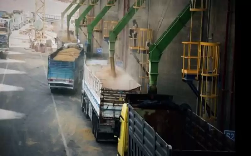 الحكومة تخطط لزيادة قدرة تخزين السلع